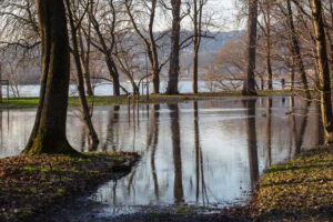 A flooded park during high tide of the river Rhine (in background) with reflections of trees